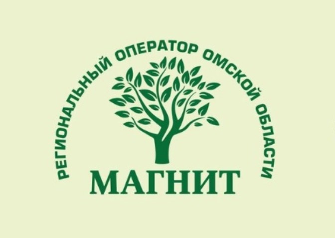 Субботники в жилом секторе и на общегородских территориях.